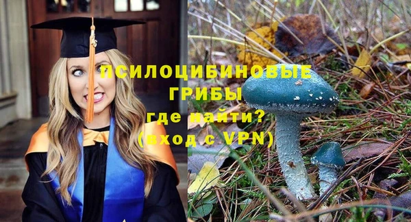 прущая мука Надым