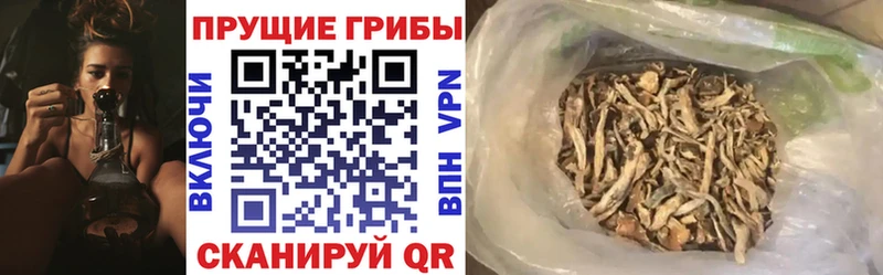 купить наркотик  Балей  Псилоцибиновые грибы мухоморы 